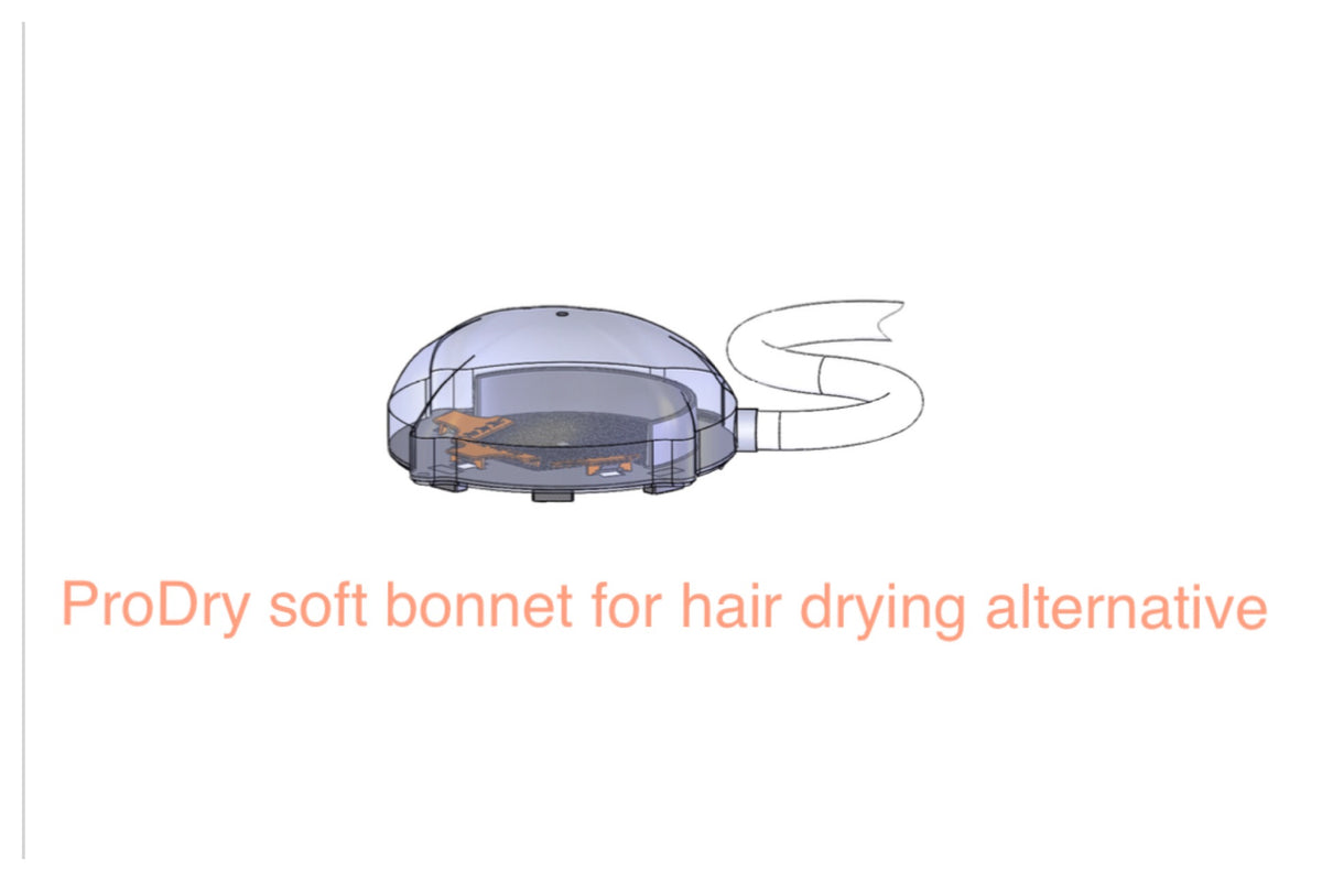 Soft bonnet and dryer hose setup covering the ProDry Disc